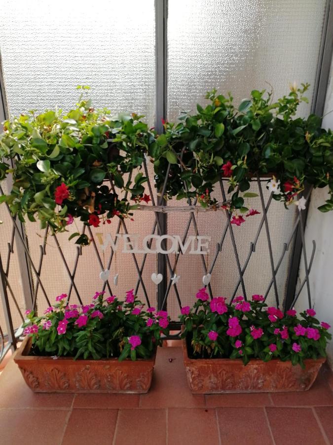 Bed and Breakfast Casa Castellano Nola Exterior foto